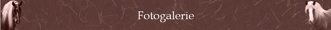 Fotogalerie